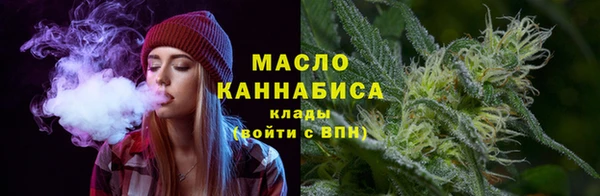 винт Инта