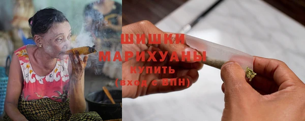 винт Инта