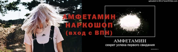 винт Инта