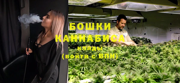винт Инта