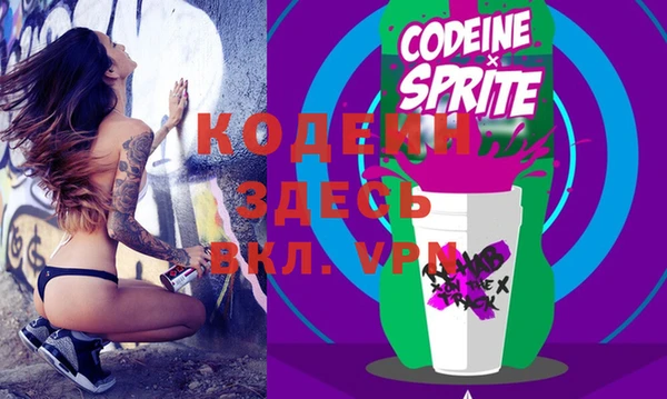винт Инта
