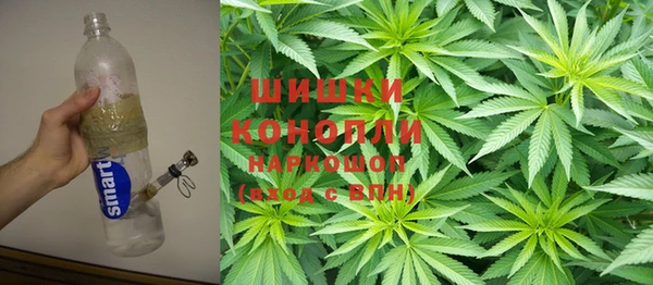 прущий лед Инсар