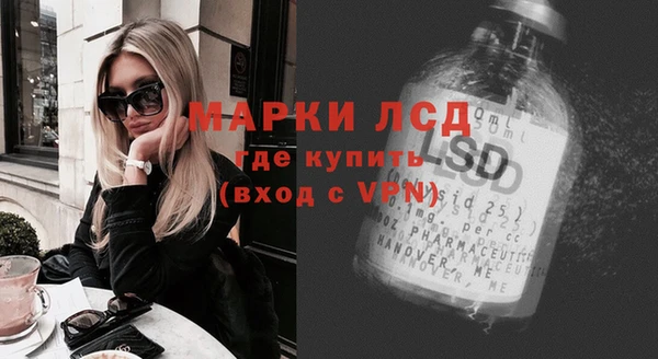 прущий лед Инсар