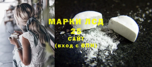 винт Инта