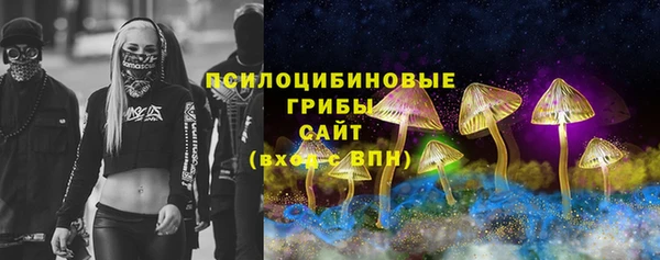 прущий лед Инсар