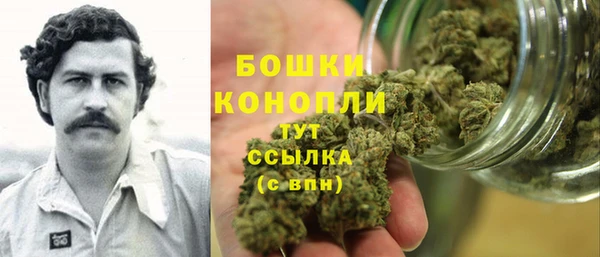 винт Инта